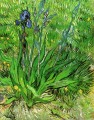 El iris Vincent van Gogh